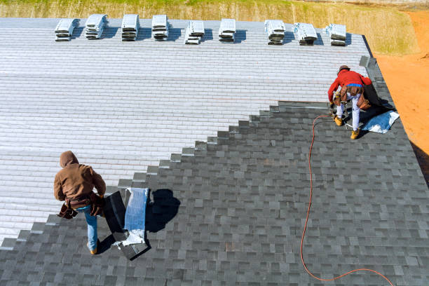Best Metal Roofing Contractor  in St Anne, IL